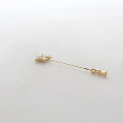 Dasspeld (Goud) Onbekend materiaal