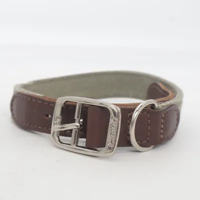 Dog collar (Brown, Green) from Clöudz