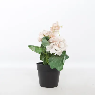 Artificial plant (Pink, Green, Black) from IKEA