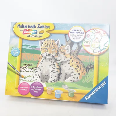 Hobby benodigdheden (Blauw, Meerkleurig) van Ravensburger