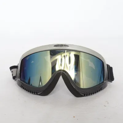Ski goggles (Black, Gray) from Arctica