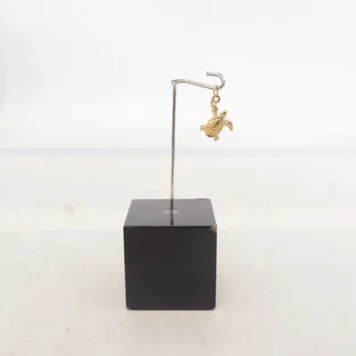 Pendant (Gold) Unknown metal, Stainless steel