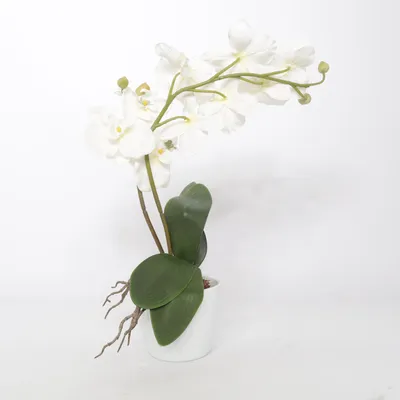 Kunstig plante (Hvid, Flerfarvet)