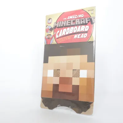 Accessoires de déguisement (Cardboard Head) de Minecraft