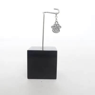 Pendentif (Argent) Métal inconnu