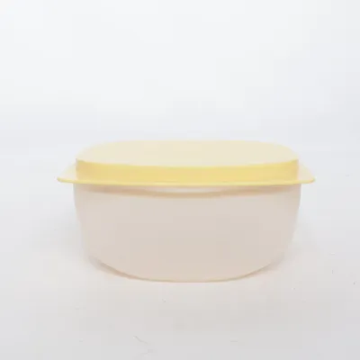 Boîte à déjeuner de Tupperware