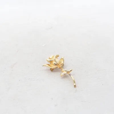 Broche (Guld) Ukendt metal