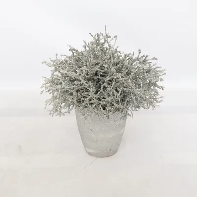 Konstgjord växt (Silverfärgad) från Rusta