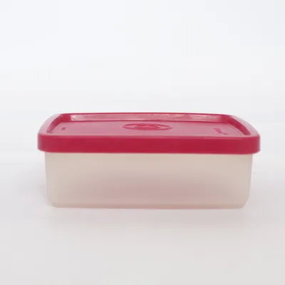 Förvaringslåda (Transparent) från Tupperware