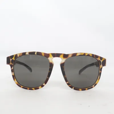 Sunglasses (Brown, Multicolored) from Bliz