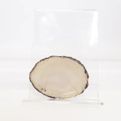 Decorative stones (Beige, Black, Multicolored) from Edelstein