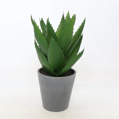 Artificial plant (Gray, Green) from Clas Ohlson