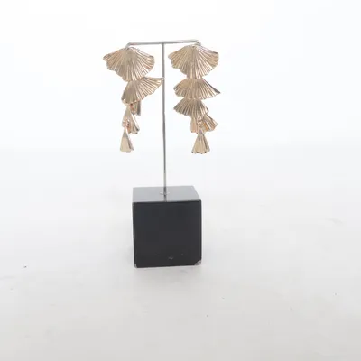 Earrings (Gold) from Fire & Glory Stainless steel