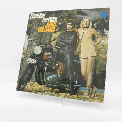 Vinylplaat