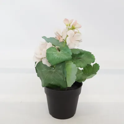 Artificial plant (FEJKA) from IKEA