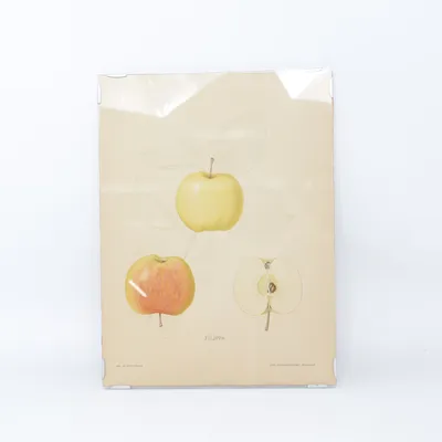 Schilderij