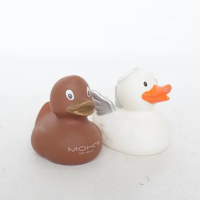 Badeend (Wit, Bruin, Meerkleurig) van Mohr