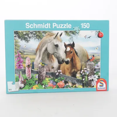 Puzzle from Schmidt