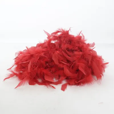 Accessoires de déguisement (Rouge)
