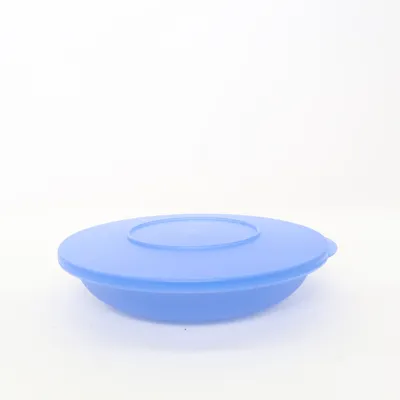 Lunch box (Blue) from Tupperware