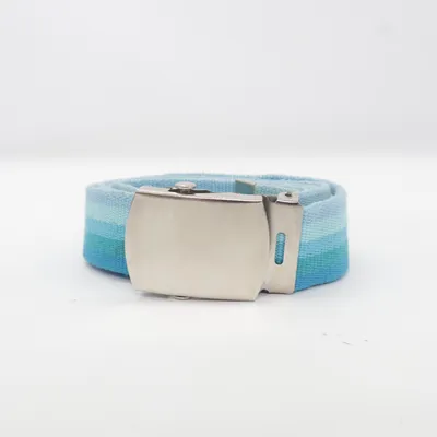 Belt (Blue, Multicolored)