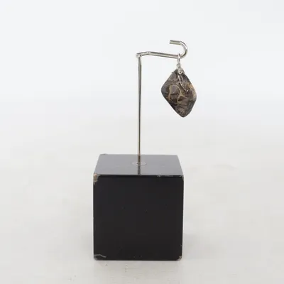Pendant (Brown) Unknown metal