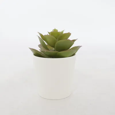 Kunstig plante (Grøn, Hvid)