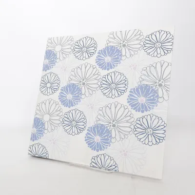 Fotoalbum (Wit, Blauw)