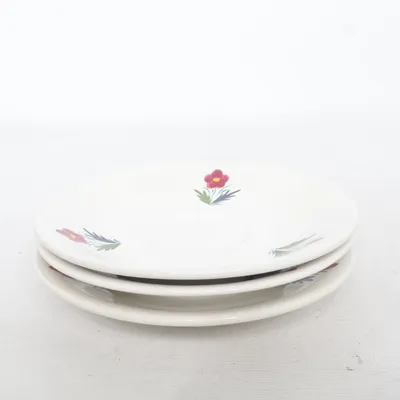 Plate (White, Multicolored) from Mique