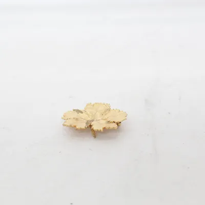 Brosch (Guldfärgad) Okänd metall
