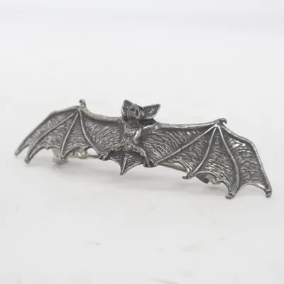 Hårspänne (Silverfärgad) från Alchemy Gothic