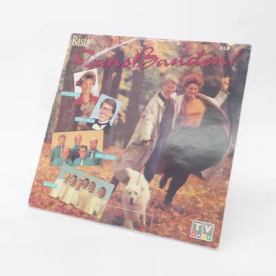 Vinylplaat