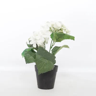 Konstgjord växt (Vit)