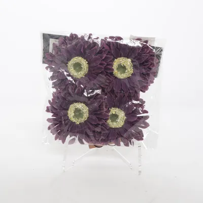 Artificial plant (Purple) from DEKOR