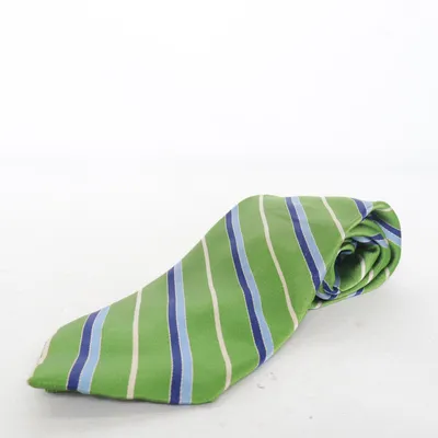 Slips (Grøn, Blå, Hvid) fra Barneys New York Silke