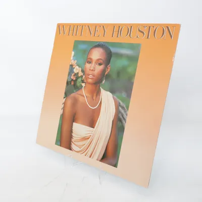 Vinylplade