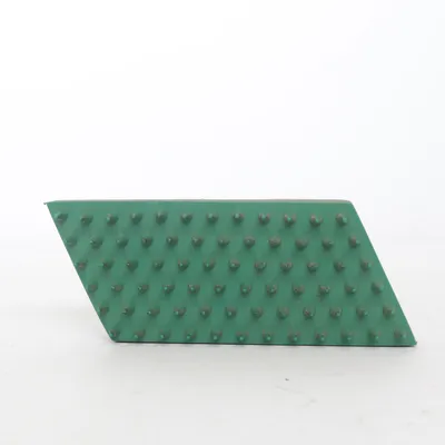 Dog accessory (Green) from Karlie