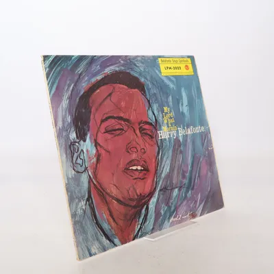 Vinylplade