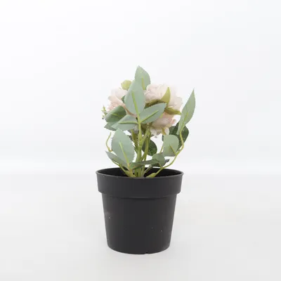Konstgjord växt (Svart, Rosa, Grön) från IKEA