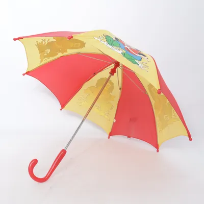 Paraplu (Rood, Meerkleurig)