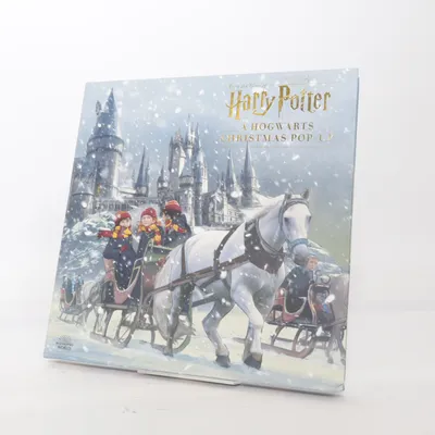 Kalender (Grå, Flerfarvet) fra Harry Potter