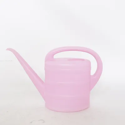 Vattenkanna (Rosa)