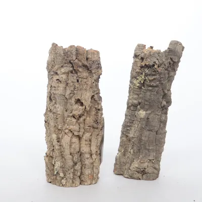 Terrarium accessory (Cork Tunnel) from Trixie