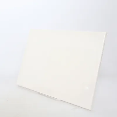 Canvas (White)