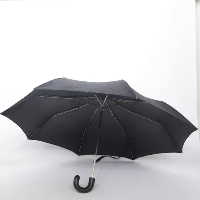 Parapluie (Stort)