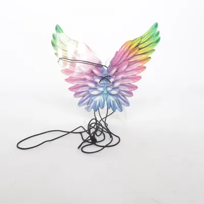 Costume accessories (Multicolored)