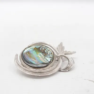 Broche (Sølv, Flerfarvet) Ukendt metal