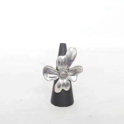 Ring (Zilver) Onbekend materiaal