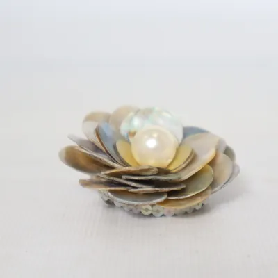 Broche (Multicolore) Métal inconnu