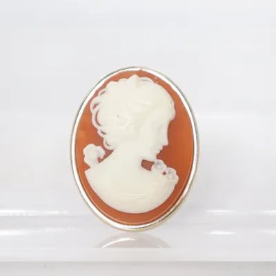 Brooch (Red, White) Unknown metal